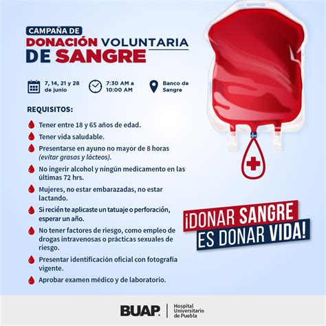 final: Lazos de sangre 2025